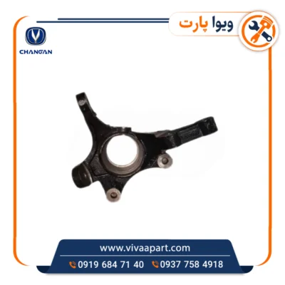 خرید سگدست راست چانگان Cs35